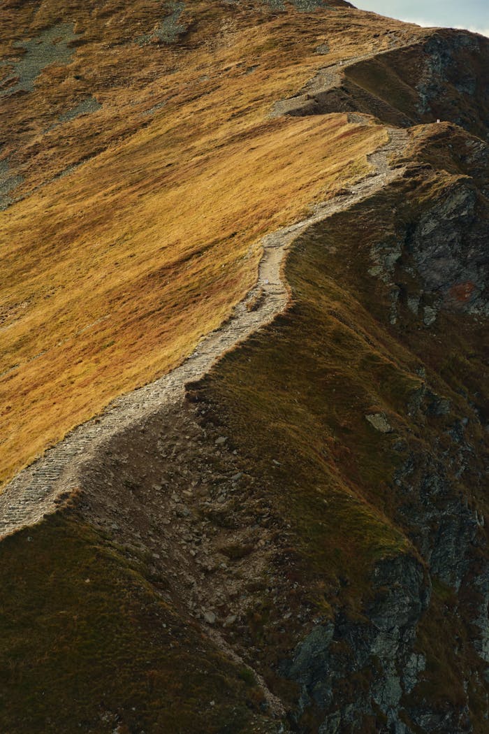 A dramatic shot of a narrow, steep path in Tatry, Świętokrzyskie, Poland.